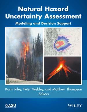 Cover of the book Natural Hazard Uncertainty Assessment by Weldon Long