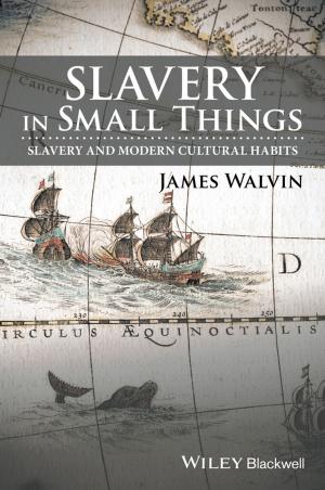Book cover of Slavery in Small Things