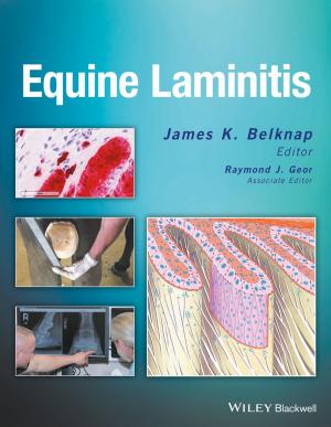 Cover of the book Equine Laminitis by Chang Wen Chen, Periklis Chatzimisios, Tasos Dagiuklas, Luigi Atzori