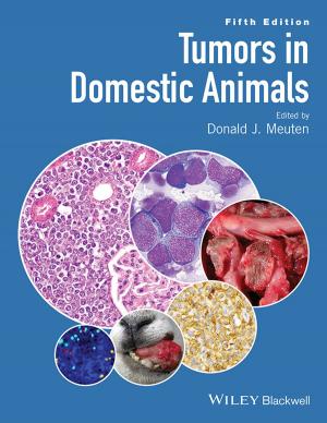 bigCover of the book Tumors in Domestic Animals by 