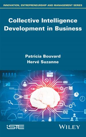 Cover of the book Collective Intelligence Development in Business by Richard J. Bernstein