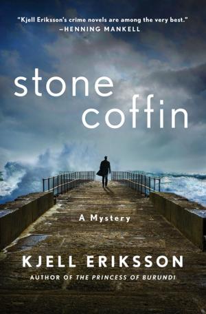 Cover of the book Stone Coffin by John Hindmarsh