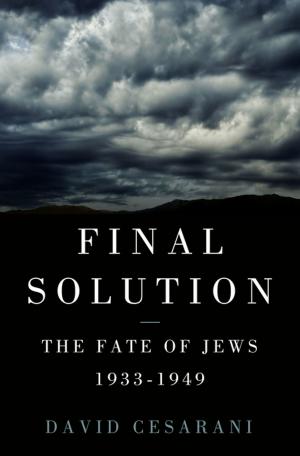 Cover of the book Final Solution by Joe Devito, Brad Strickland
