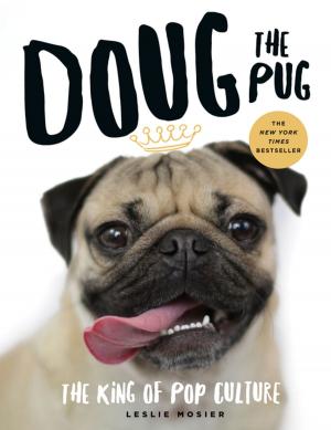 Cover of the book Doug the Pug by David Burns
