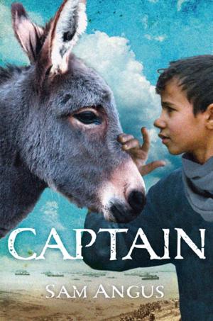 Cover of the book Captain by Ellen Potter