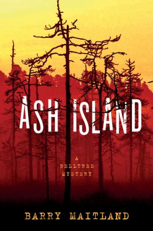 bigCover of the book Ash Island by 