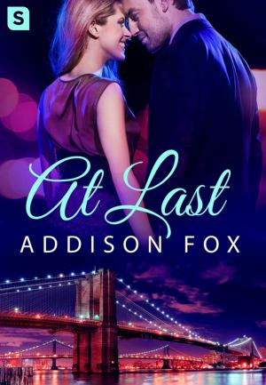 Cover of the book At Last by Elizabeth J. Duncan