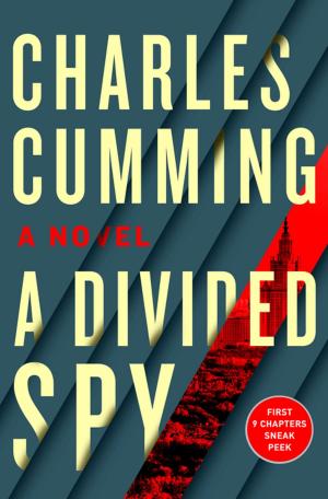 Cover of the book A Divided Spy 9-Chapter Sampler by Dave Madden