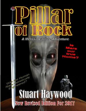 Cover of the book Pillar of Rock by Rebecca Stevenson