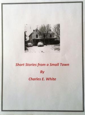 Cover of the book Short Stories From A Small Town by Cathy Rosoff