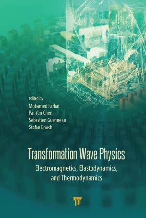 Cover of the book Transformation Wave Physics by Carlos Rodrigues da Cruz, João L. Figueirinhas, Pedro J. Sebastião