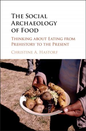 Cover of the book The Social Archaeology of Food by Vered Kraus, Yuval Yonay