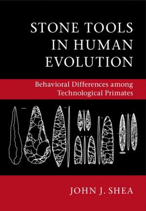 Cover of the book Stone Tools in Human Evolution by 