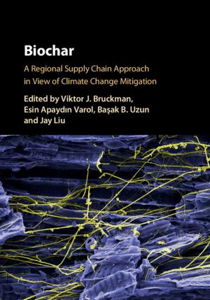 Cover of the book Biochar by J. David Bleich, Arthur J. Jacobson