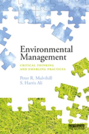 Cover of the book Environmental Management by Anton F. Schimmelpfennig (Hrsg.)