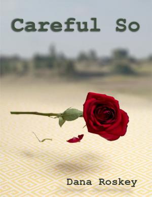 Cover of the book Careful So by A Greenman