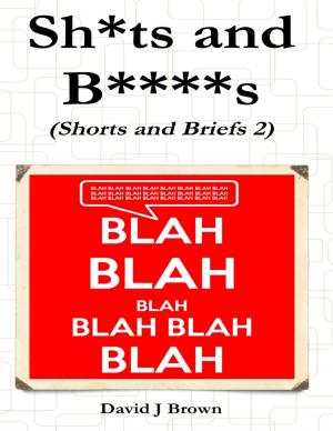 Cover of the book Sh*ts and B****s by R Shelby