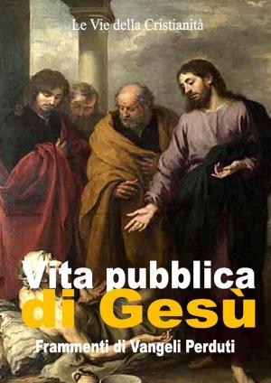Cover of the book Vita pubblica di Gesù by Sant'Agostino d'Ippona