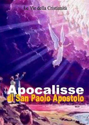 Book cover of Apocalisse di San Paolo Apostolo