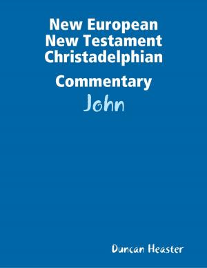 Cover of the book New European New Testament Christadelphian Commentary: John by The KPI List