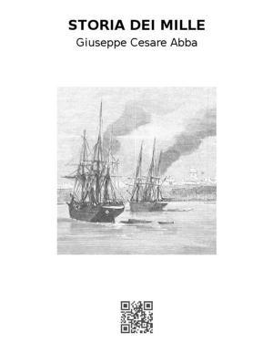 Book cover of Storia dei Mille