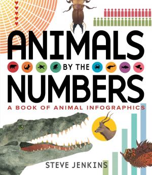 Cover of the book Animals by the Numbers by Vivian Vande Velde