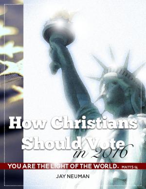 Cover of the book How Christians Should Vote In 2016 by Fawn McCurdy