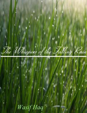 Cover of the book The Whispers of the Falling Rain by cindy christmas