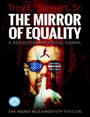 Cover of the book The Mirror of Equality by Tami Brady