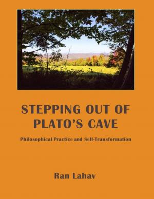 Cover of the book Stepping Out of Plato's Cave by Sr Pascale-Dominique Nau