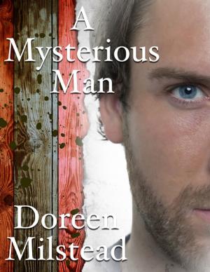 Cover of the book A Mysterious Man by Joy Renkins
