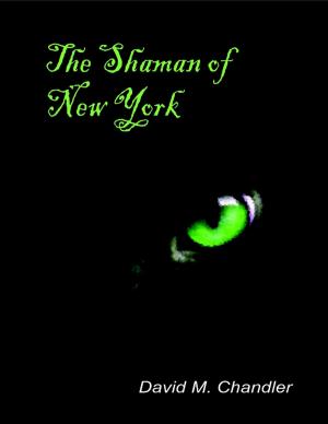 Cover of the book The Shaman of New York by Alfredo Carson