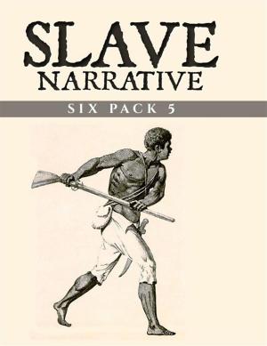 Cover of the book Slave Narrative Six Pack 5 by Robert E. Merriam