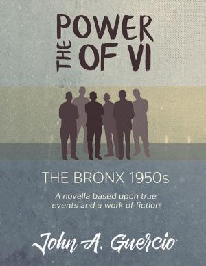 Cover of the book The Power of Vi by Anne Marie Brooks