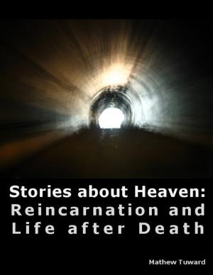 Cover of the book Stories About Heaven: Reincarnation and Life After Death by Sveinn Benónýsson