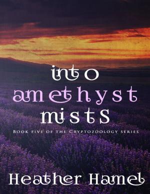 Book cover of Into Amethyst Mists