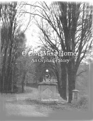 Cover of the book O Give Me a Home by Caroline Dancel-Garcia