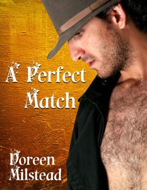 Cover of the book A Perfect Match by Oluwagbemiga Olowosoyo