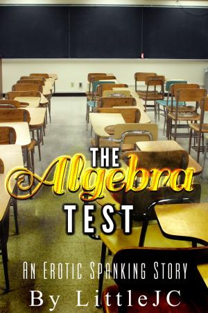 Cover of the book The Algebra Test: An Erotic Spanking Story by littleJC