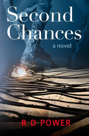 Cover of the book Second Chances by Casey Harvey