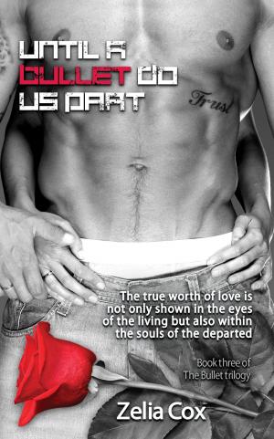 Book cover of Until A Bullet Do Us Part: Book 3 of The Bullet Trilogy