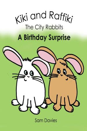Book cover of Kiki and Raffiki the City Rabbits: A Birthday Surprise