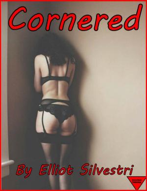 Book cover of Cornered