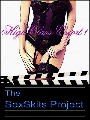 bigCover of the book High Class Escort 1 by 
