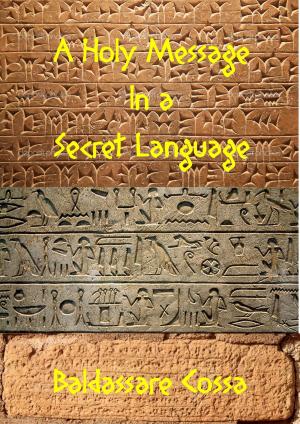 Book cover of A Holy Message in a Secret Language