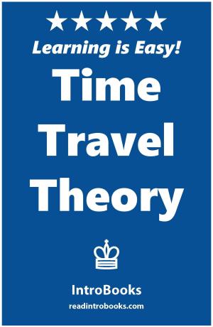 Cover of the book Time Travel Theory by Can Akdeniz