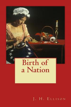Book cover of Birth of a Nation