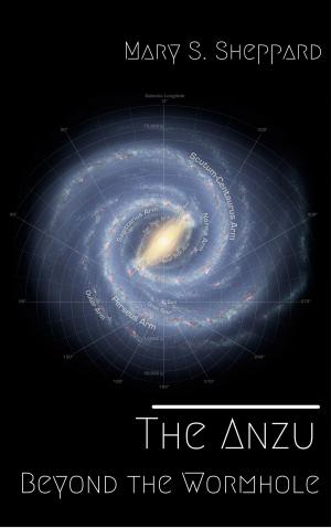 Cover of the book The Anzu: Beyond the Wormhole by Jennifer Kirk