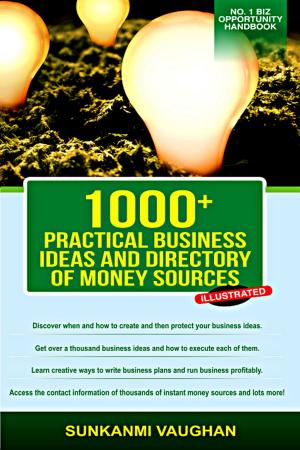 Cover of the book 1000+ Practical Business Ideas and Directory of Money Sources by Jack Snowdin