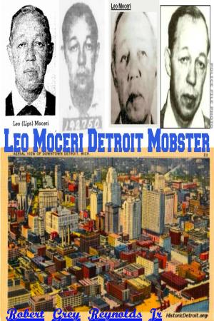 Book cover of Leonard Moceri Detroit Mobster